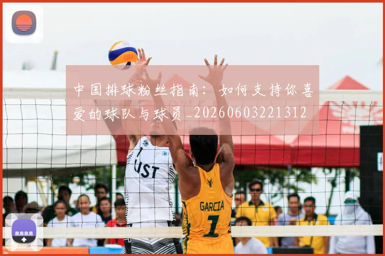 中国排球粉丝指南：如何支持你喜爱的球队与球员_20260603221312